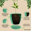 Lifemaster Lifemaster Planter Pots with Drainage Holes - Lightweight, Durable,