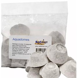 REEFSMART AQUADOMES Large Heavy Coral Frag Plugs Mounts, 10 Pack