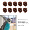 10pcs Bird Bite Pine Cones with Fixing Nuts, Pine Cone
