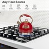 Tea Kettle, Stovetop Whistling Teapot, Stainless Steel, Red, 3.0-Quart