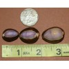 SHORELY YOURS COWRIES,Purple Top,stunning color,beach art,craft supply SS-37 - 100