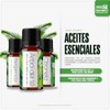 Vida Scents Aceite Esencial Aromaterapia 10ml Difusores Humidificadores 100 Puro