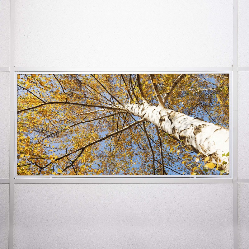 Fluorescent Light Cover for Classroom Ceiling Lights - Premium Backlit