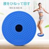 Twistboard Spin Board Balance Disc Spin Trainer Torsion Diet Core