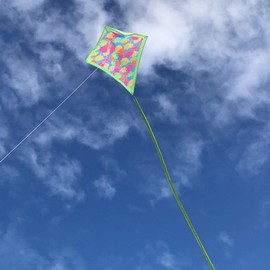 In the Breeze 3266 - Tropical Fish Camo 30" Diamond Kite - Fun, Easy Flying Camo Kite