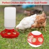 OUYOLAD Chicken Feeder Barrel Bird Drinking Poultry Diet Tool Quail