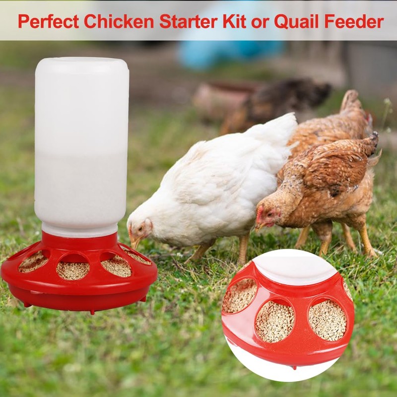 OUYOLAD Chicken Feeder Barrel Bird Drinking Poultry Diet Tool Quail