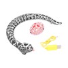 Infrared Remote Control Rattle Snake BatteryPowered Robotic Snake Toy Kids