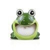 Decorative Dish Sponge Holder for Kitchen Sink - Frog