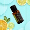 Doterra Aceite Esencial De Lima Doterra 15 Ml