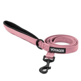 Voyager - Correa Reflectante para Perro con Mango de Neopreno, 5 pies de Largo, soporta Cachorros de Raza pequeña, Mediana y Grande, Bonita y Resistente para Caminar, Correr y Entrenar, Color Rosa, S