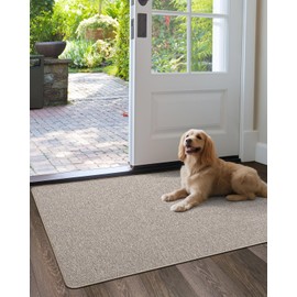 LUMI Large Indoor Door Mat, 32"x47" Non Slip Rubber Backing Entrance Mat, Easy Clean Low Profile Ultra Thin Entryway Mat for Inside House, Patio, Beige