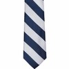tiemart Boys' Zipper Ties (14 inch, Navy Blue and Silver