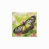 Turner Photographic Butterflies Photo Mini Wall Calendar (24998950054)
