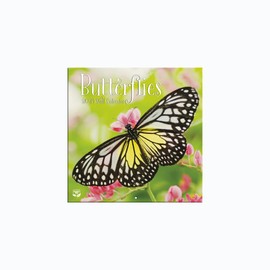 Turner Photographic Butterflies Photo Mini Wall Calendar (24998950054)