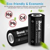 BONAI Rechargeable C Batteries 5,000mAh 1.2V Ni-MH High Capacity High