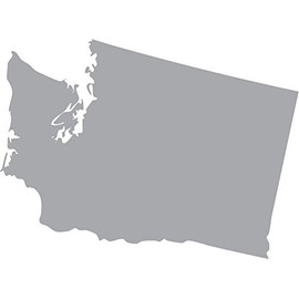 Picniva Silver Washington WA map Removable Vinyl Wall Decal Home Dicor 3 inchs Wide