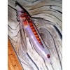 DRAGONFLY 3D BAIT COLOR #E Dragonfly Floating TOP WATER COPY