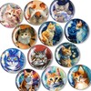 DARUITE Glass Fridge Magnets, Fridge Magnets for Refrigerator, Small Magnets
