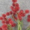 Factory Direct Craft Group of 2 Red Artificial Thistle Sprays