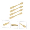 Baluue 24pcs Women Beauty Tools Makeup Spatulas Tiny Cosmetics Spoons
