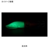 DAIWA Ica Metal/Egi Emerald Watermelon Metal Dropper TypeSQ S2.5 Luminous