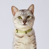 Petio Cat Collar, Flash Soft Cat Collar, Yellow