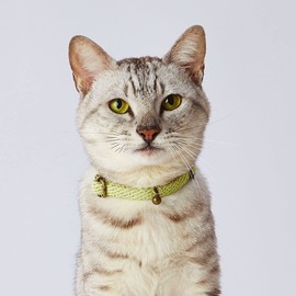 Petio Cat Collar, Flash Soft Cat Collar, Yellow