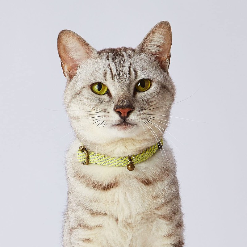 Petio Cat Collar, Flash Soft Cat Collar, Yellow