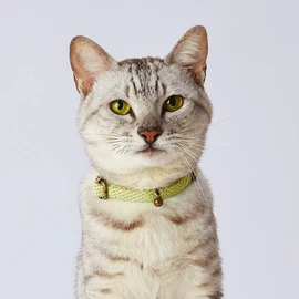 Petio Cat Collar, Flash Soft Cat Collar, Yellow