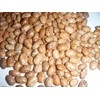 Brown Greasy Pole Bean Over 200 Kentucky Cornfield Brown Greasy