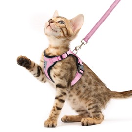 PUPTECK Cat Harness and Leash Set Escape Proof Reflective Cat Walking Harness Adjustable Soft Breathable Mesh Vest for Small Pets, Light Pink, XS