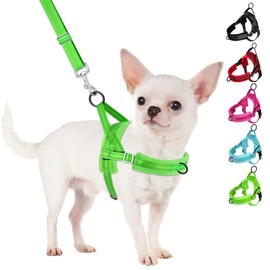 SlowTon No Pull Small Dog Harness and Leash Set, Puppy Soft Vest Harness Neck & Chest Adjustable, Reflective Lightweight Harness & Anti-Twist Pet Lead Combo for Small Medium Dogs (Green-Front Clip,XS)
