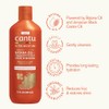 Cantu Ultra Moisture Nourishing Shampoo with Batana Oil 384ml