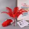 Ballinger Red Ostrich Feathers for Centerpieces - 12pcs 24-26inch Feathers