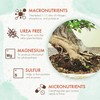 Bonsai Fertilizer - Gentle Slow Release Plant Food Pellets -