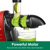 Slow Masticating Juicer,Brecious Cold Press Juicers with 2 Speed Modes