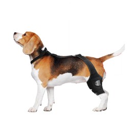 BOBKNOW Dog Knee Brace for Torn ACL Hind Leg - ACL Brace for Dogs - Knee Brace for Dogs with Torn ACL - Provides Stable Support - Comfortable & Easy to Use (S)