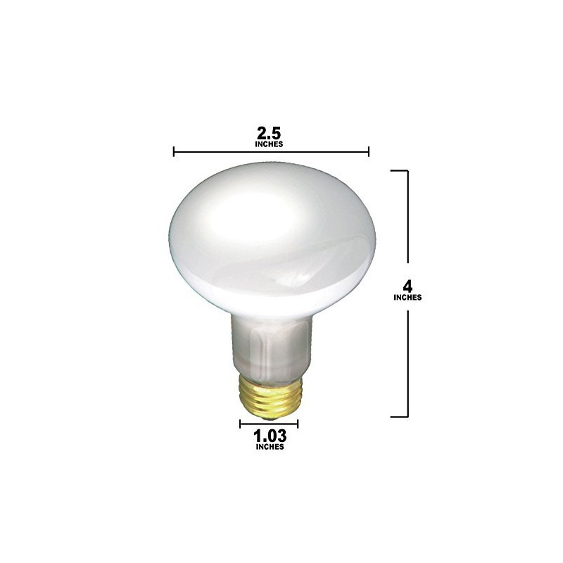 (Pack Of 6) 30R20/FL 120V - 30 Watt R20 Flood