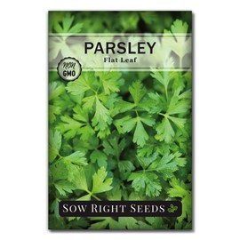 Sow Right Seeds - Flat Leaf Parsley Seed for Planting - Non-GMO Heirloom Packet with Instructions to Plant and Grow a Kitchen Herb Garden - Indoor or Outdoor - Great for Hydroponics Growing (1)