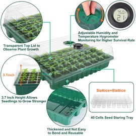 Augshy Seed Starter tray with Dome,6 Pcs 240 Cell Seed Starter Pot with Clear Raised Lid and Dome for Indoor Seedling Greenhouse Cloning Germination Sprouting(Green)