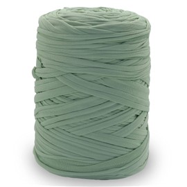 NOTIONSLAND 400g T Shirt Yarn Knitting Yarn Fabric Crochet Yarn for Bag Basket Blanket Home Decor - Light Green Plain Yarns