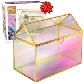 D'Eco Iridescent Glass House Plant Terrarium (10x6x8)- Indoor Tabletop Gold Geometric Planter Terrarium for Succulents, Air Plants, Moss- Home & Office Holiday Decor - Xmas Gift for Plant Lovers