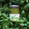 Pesto Genovese by Roberto Panizza - Shelf Stable - Genova,
