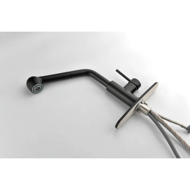 Single Handle Pull Out Sprayer Kitchen Sink Faucet Model D0100H5EBEXColor: