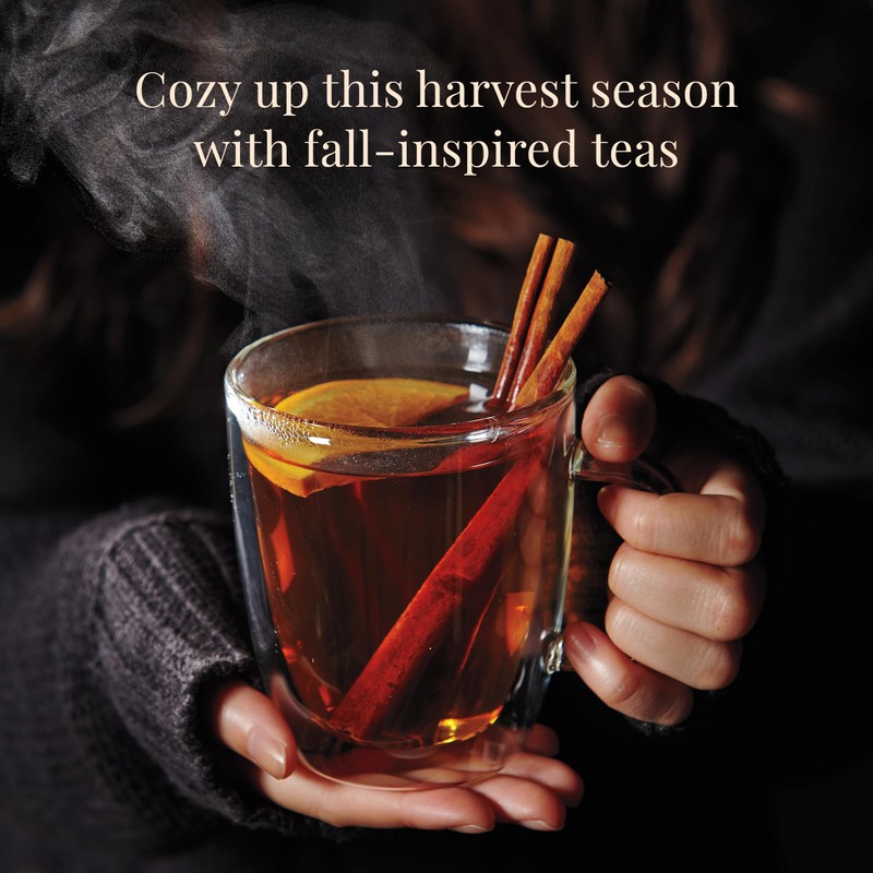 The Republic of Tea: Fall Harvest Tea Assortment Cube, 24