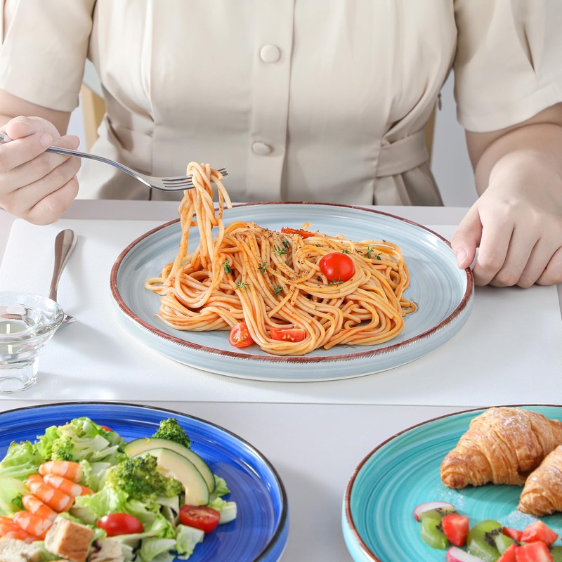 vancasso Bonita 10.5 Inch Dinner Plates, Ceramic Dinner Plate Set,