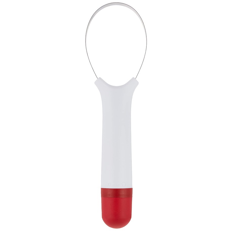 Euro Kitchen Scoop