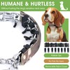 Adjustable Training Collar with Quick Release Buckle, No Pull Dog