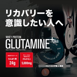 DNS プロテイン ホエイプロテイン グルタミンプラス (G+) チョコレート風味 630g グルタミン配合 水で飲める ホエイたんぱく質 筋トレ チョコ ココア